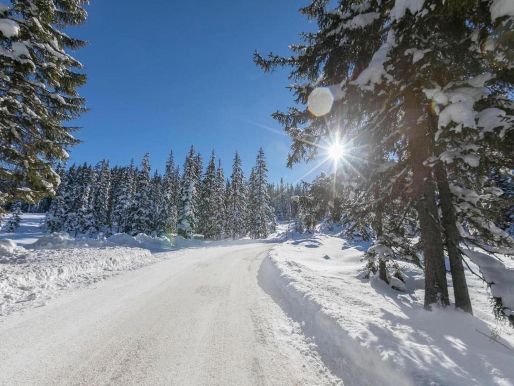 Spacious Apartment With Close To Skiing Points Mittersill Eksteriør bilde